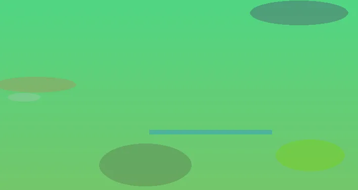 星空视讯
