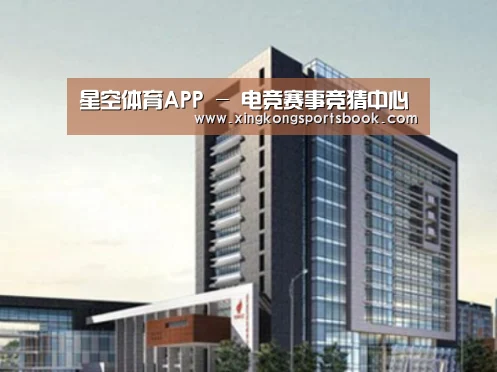 星空平台案例展示四
