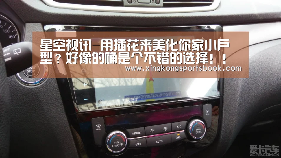 星空视讯-用插花来美化你家小户型?好像的确是个不错的选择!!(图4) 星空平台
