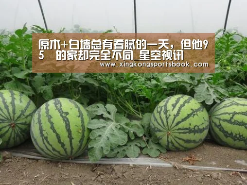 星空视讯